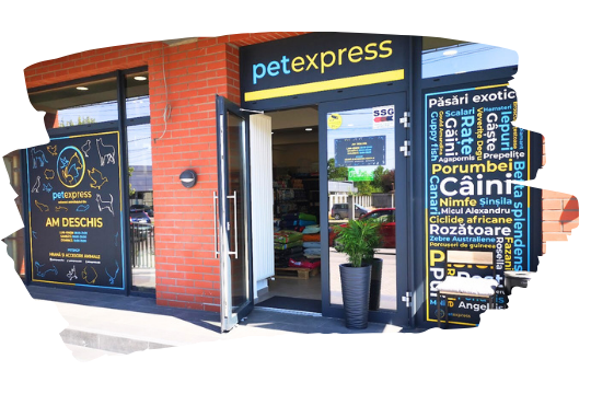 Vă așteptăm cu brațele deschise în locația noastră fizică!