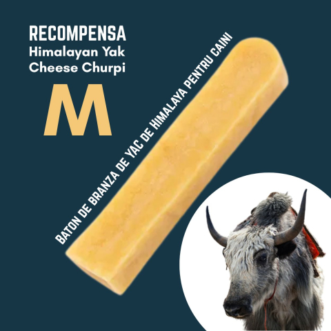 CAINI - Baton branza de Yak Himalaya Churpi M - recompensa caini