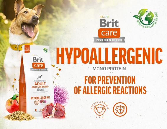 Brit Care