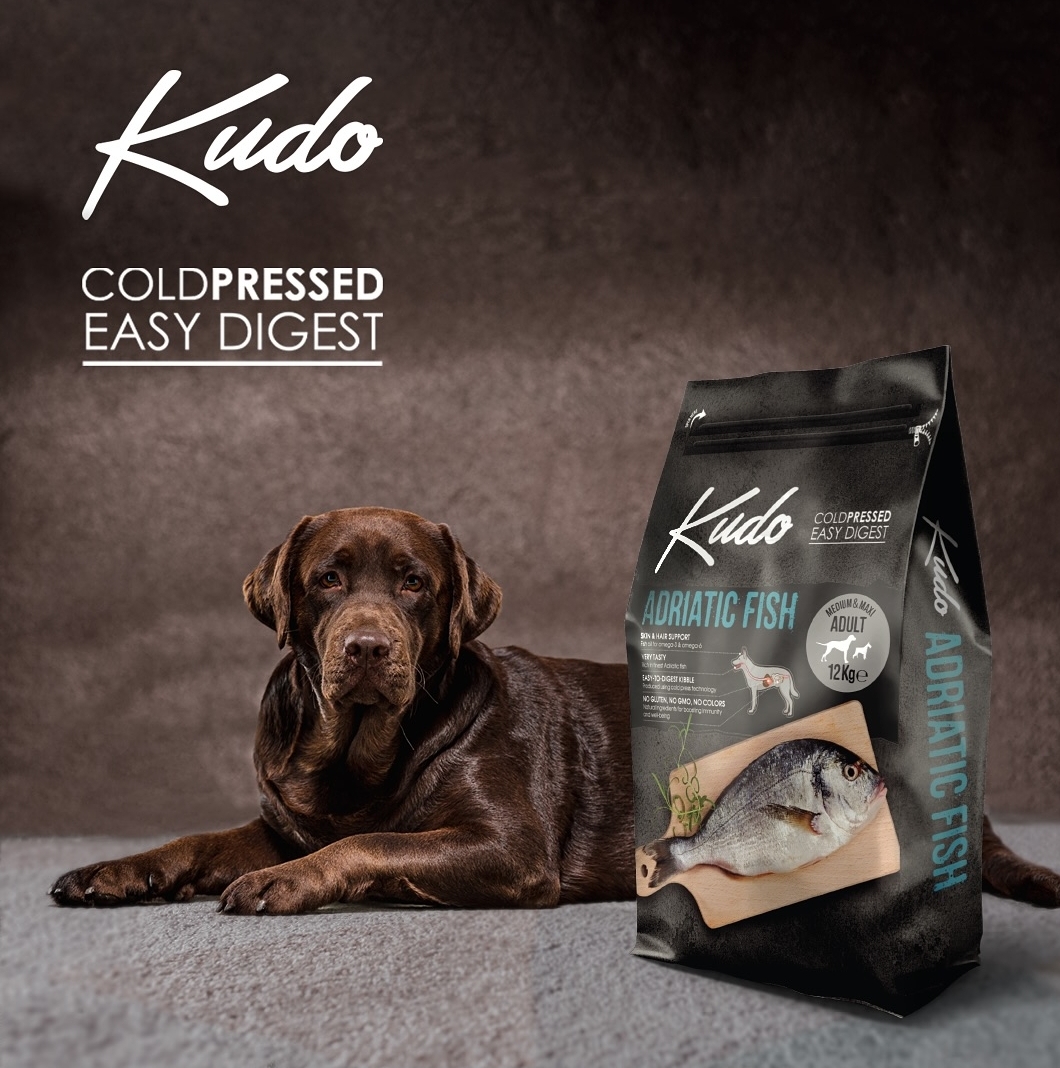 Kudo