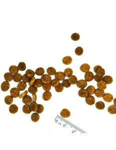 Monge Natural Superpremium Monoprotein Sterilised Cat - Pastrav - 1.5kg [2]