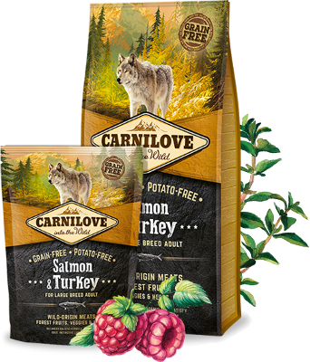 CARNILOVE Adult cu  Somon și Curcan, hrană uscată fără cereale câini, 12kg [1]