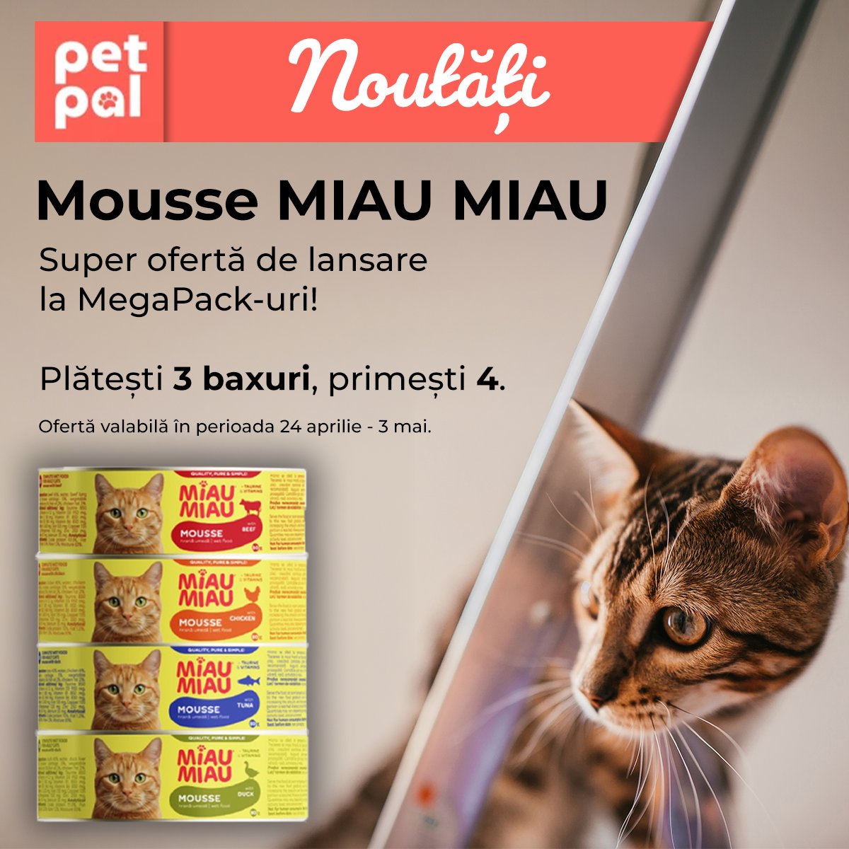 Noutati Mousse Miau Miau Mobile