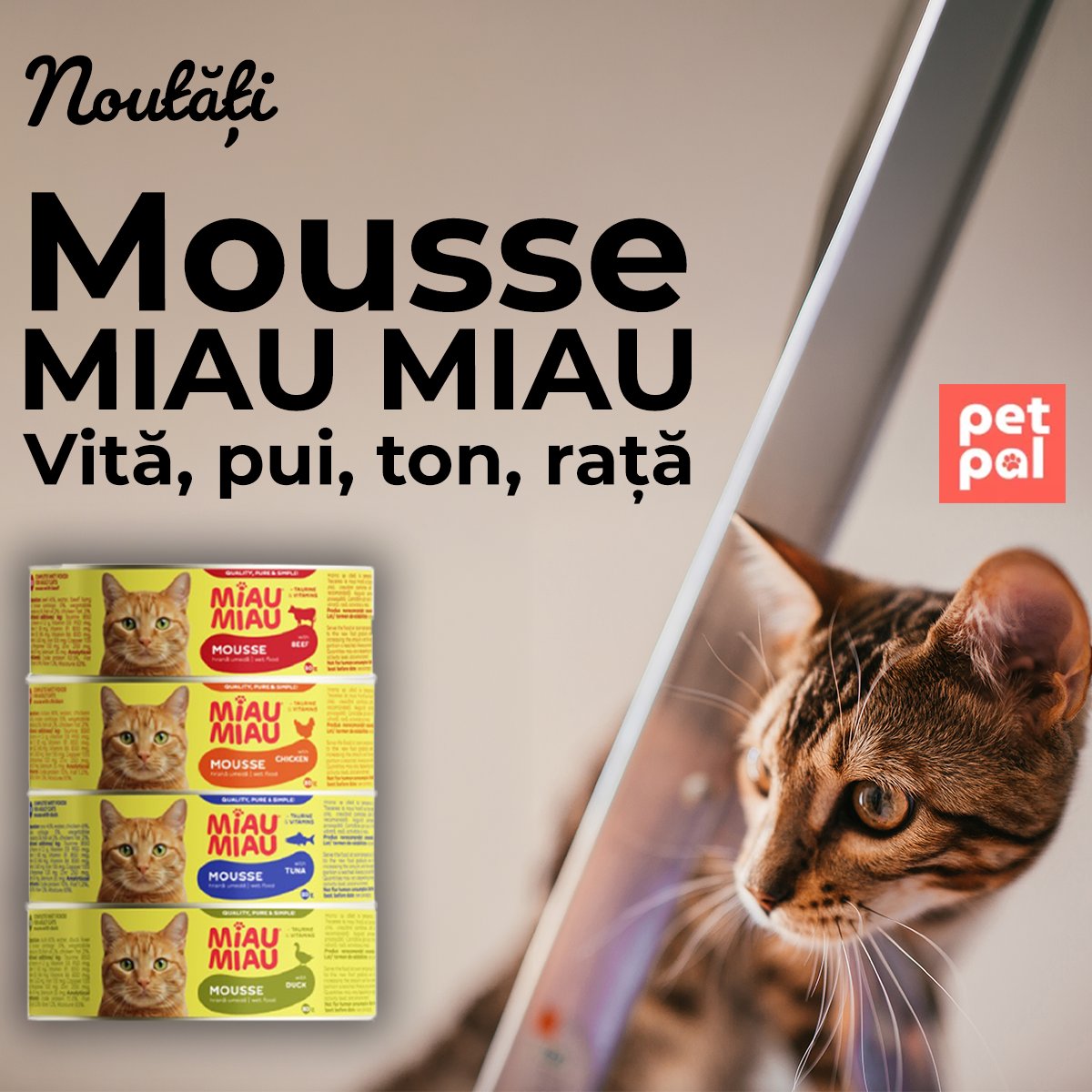 Noutati Mousse Miau Miau Mobile