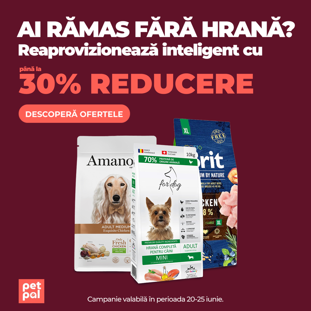 Saci Mari Câini Mobile