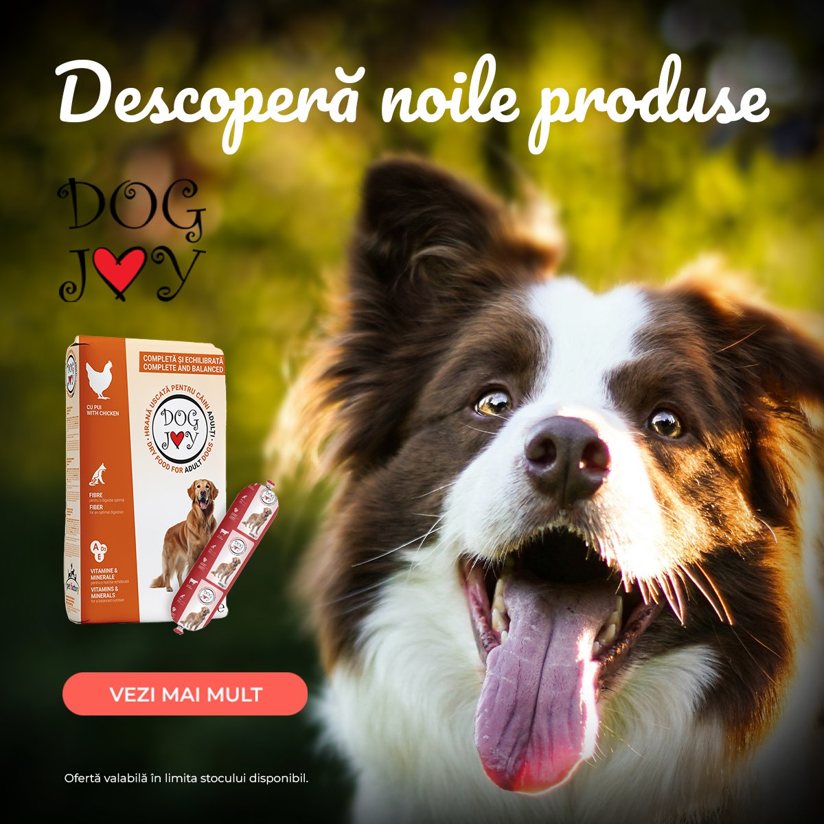 SALAM NOUTĂȚI MOBILE