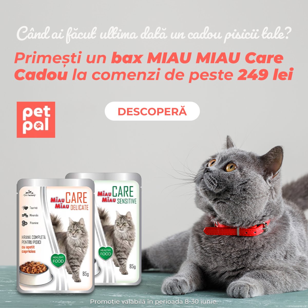 Miau Miau Care Cadou Mobile