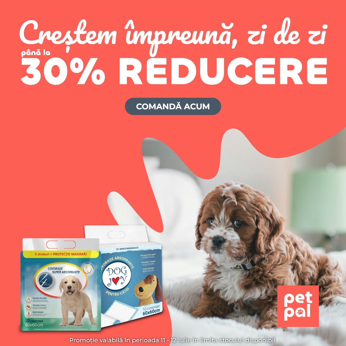 Covorase igienice mobile