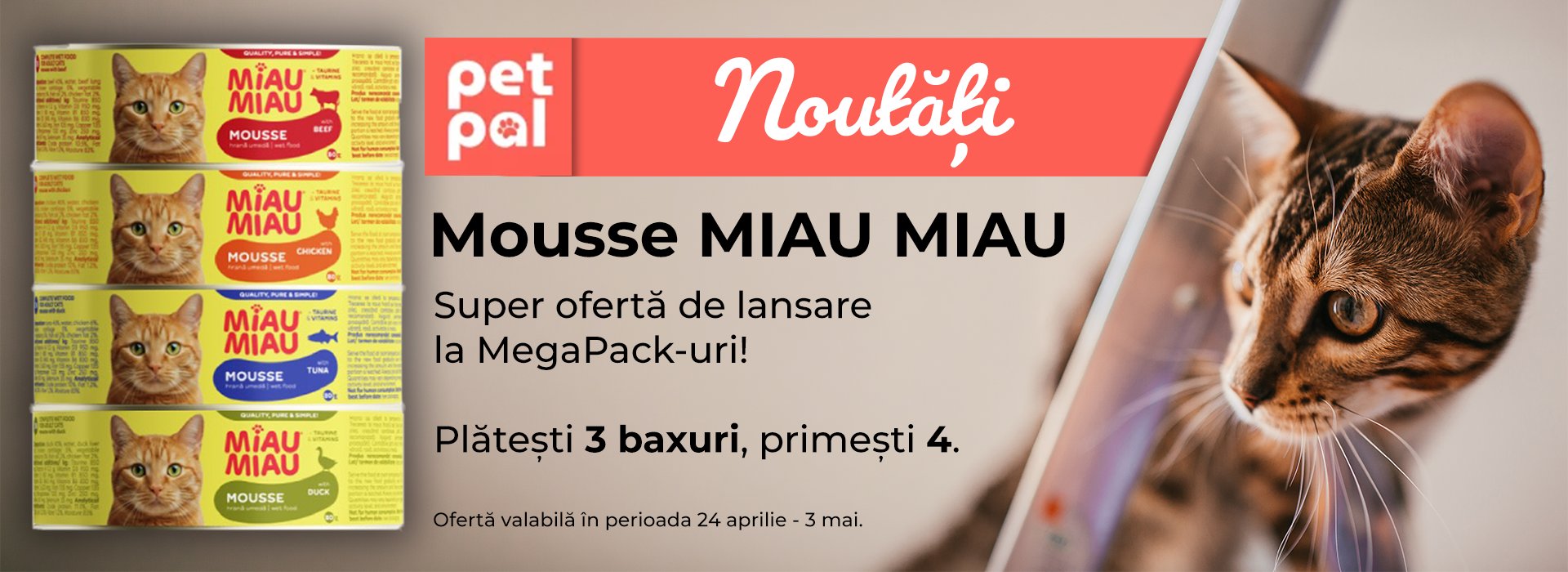 Noutati Mousse Miau Miau Desktop