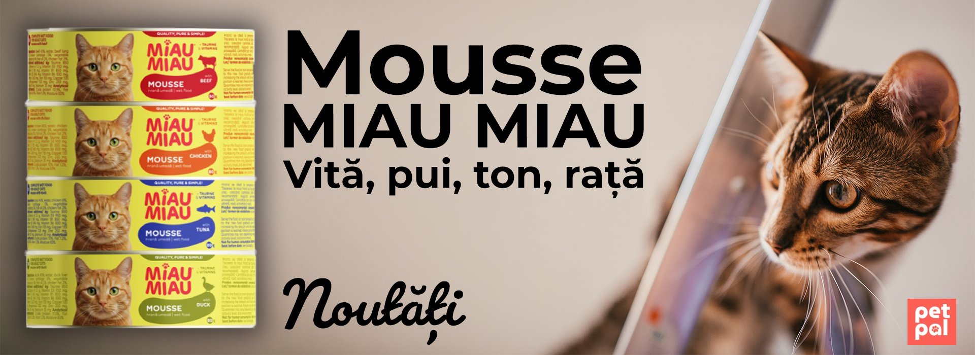 Noutati Mousse Miau Miau Desktop
