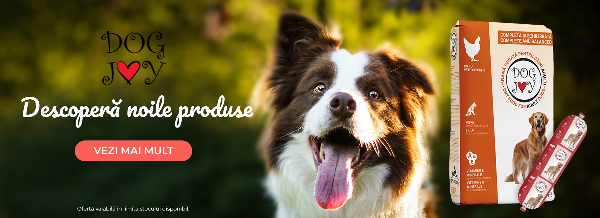 SALAM NOUTĂȚI DESKTOP