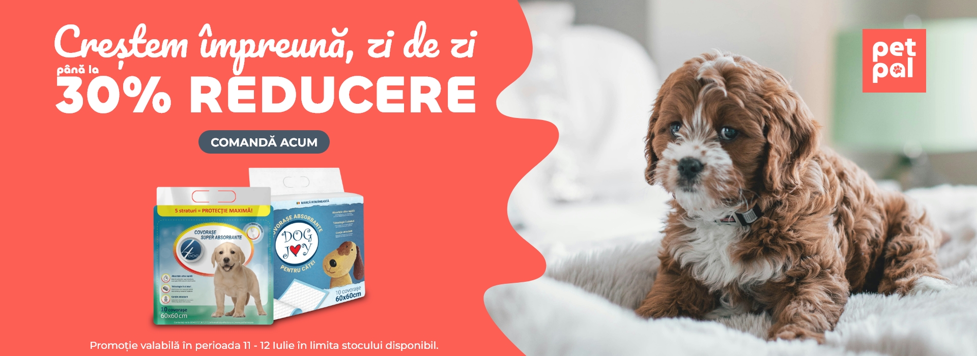 Covorase igienice desktop