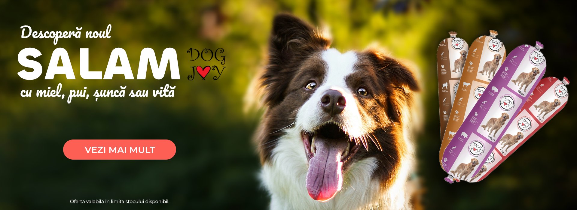 SALAM NOUTĂȚI DESKTOP