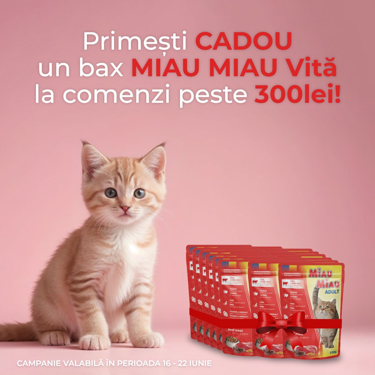 Cadou bax Miau Miau Mobile