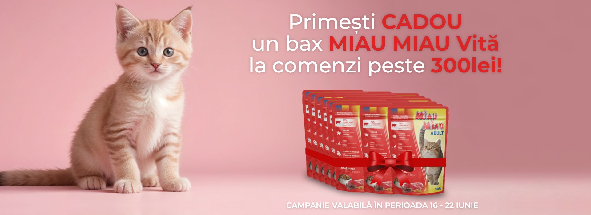 Cadou bax Miau Miau Desktop