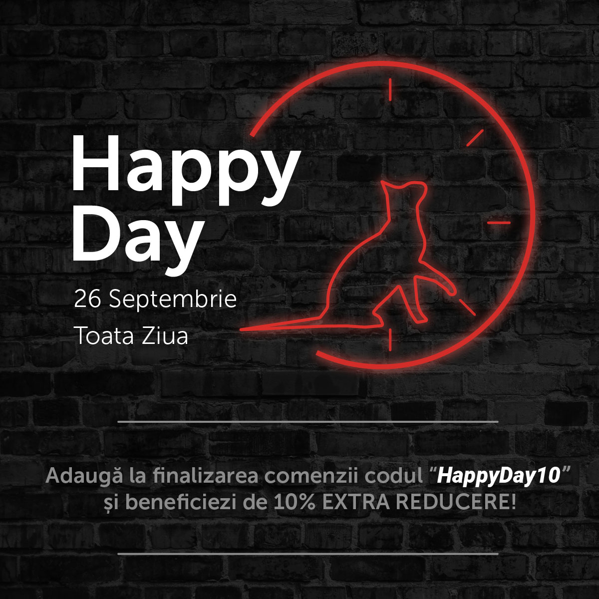 HappyDay10