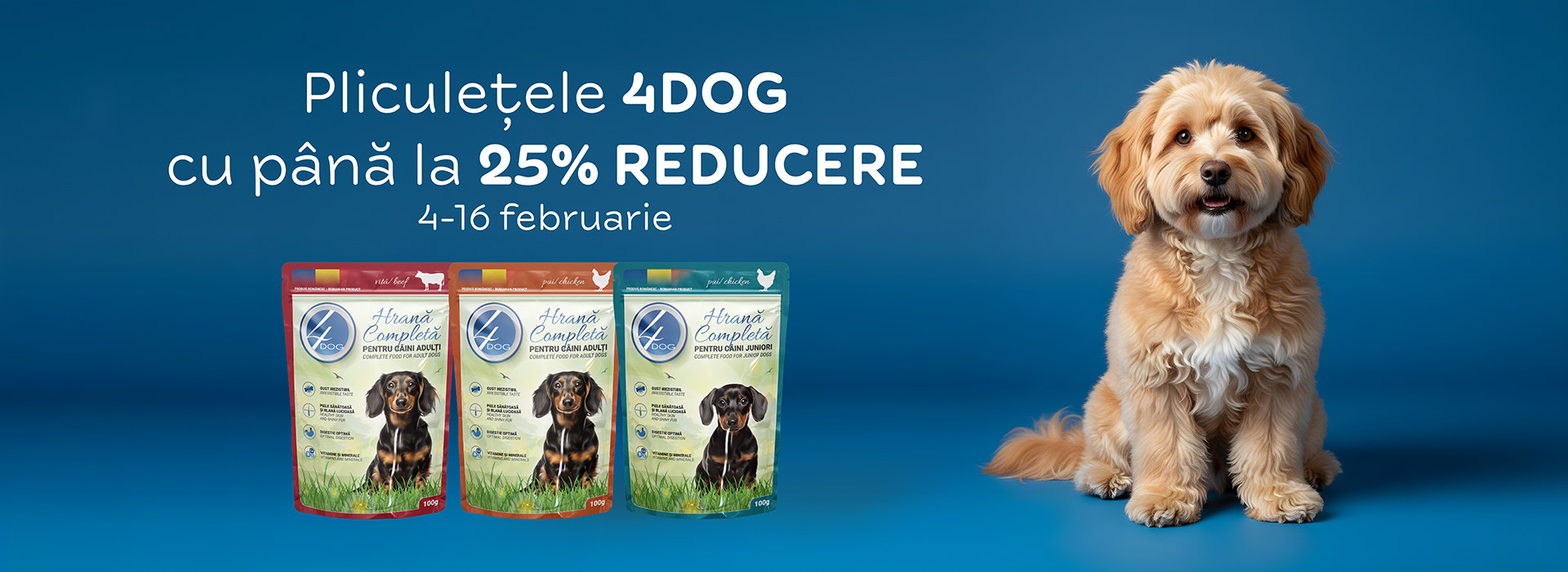 Pliculete caini Desktop