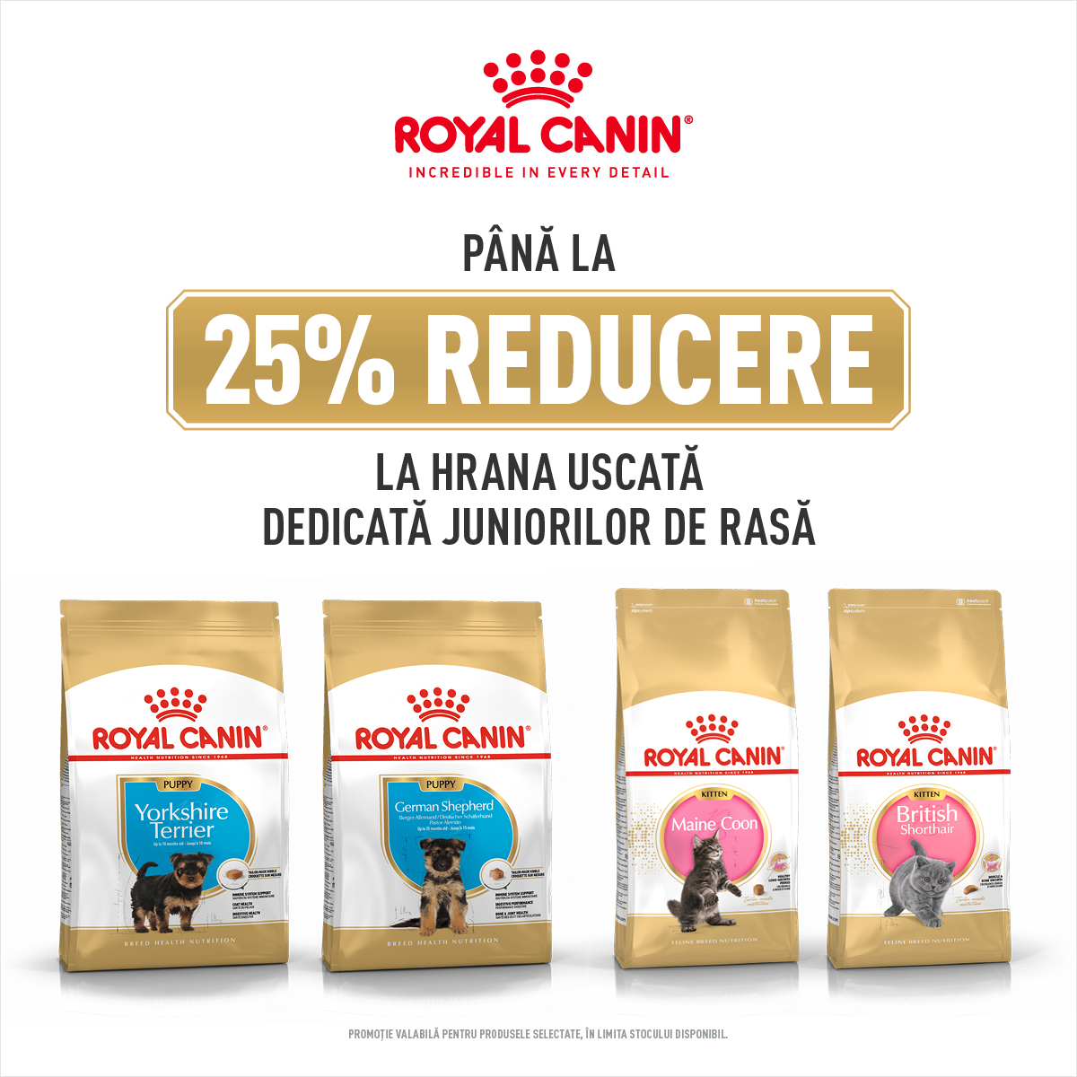 Pana la 25% REDUCERE la Royal Canin dedicat Juniorilor de Rasa