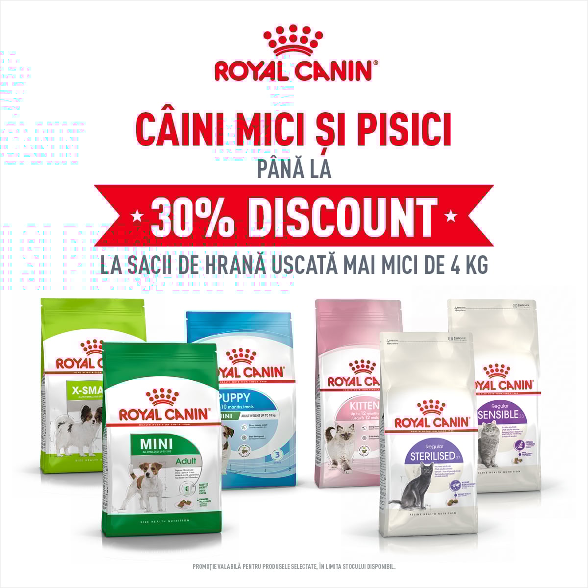 Royal Canin Caini Mici si Pisici pana la 4kg Mobile