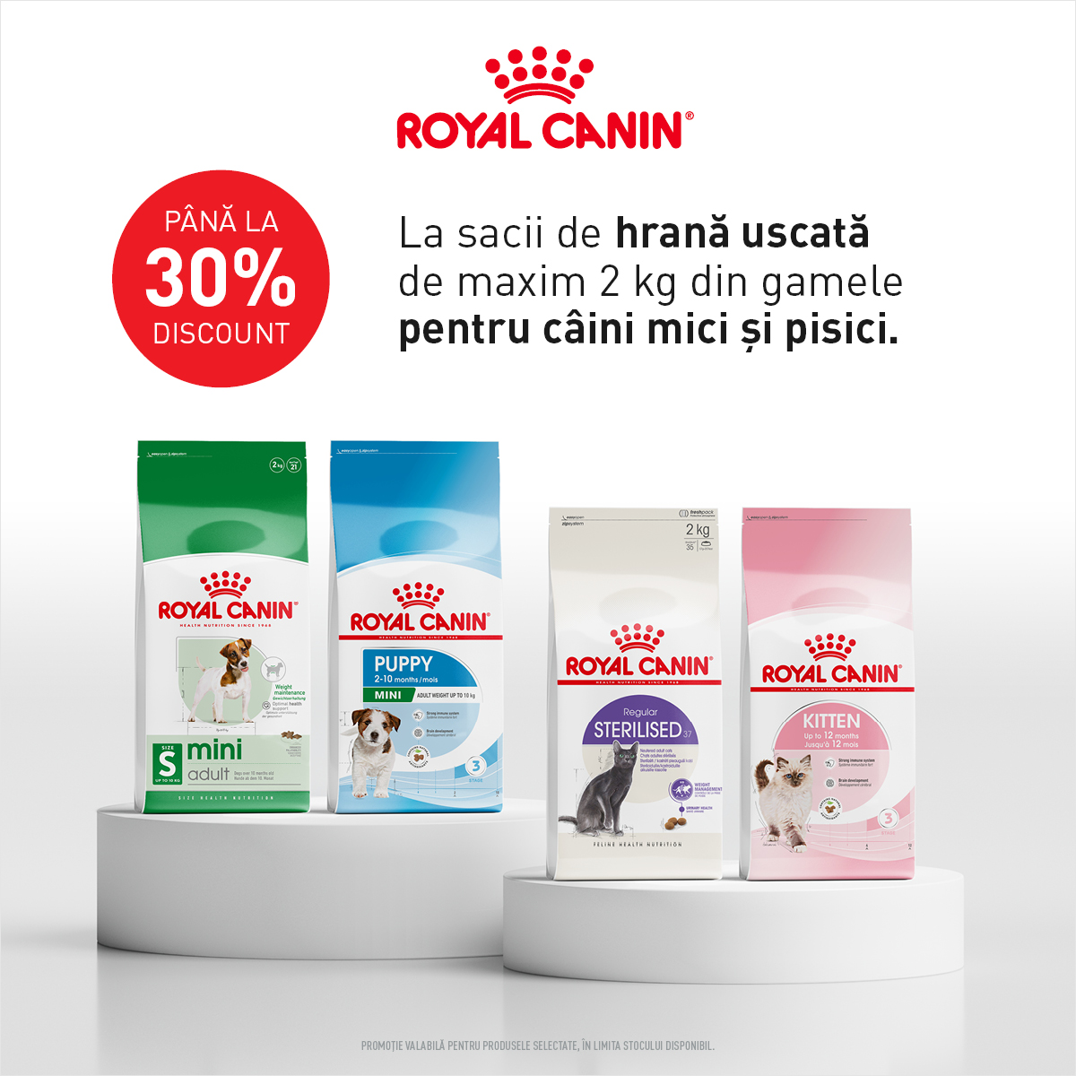 Royal Canin Caini Mici si Pisici pana la 2kg Mobile