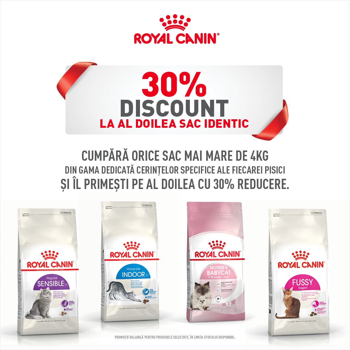 Royal Canin pisici mai mare de 4kg mobile