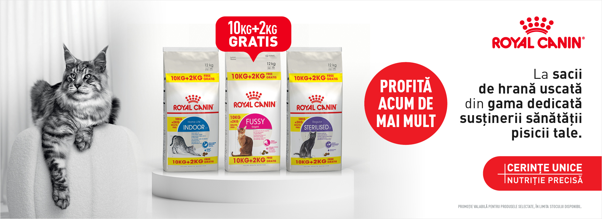 Royal Canin Pisica Adult Bonus Bags