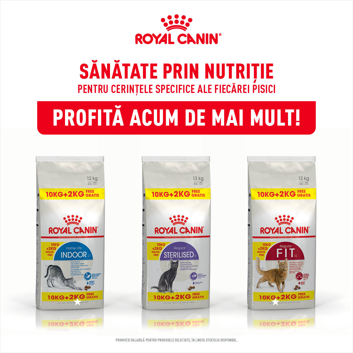 Royal Canin Pisica Adult Bonus Bags