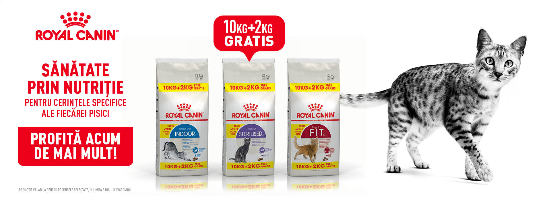 Royal Canin Pisica Adult Bonus Bags