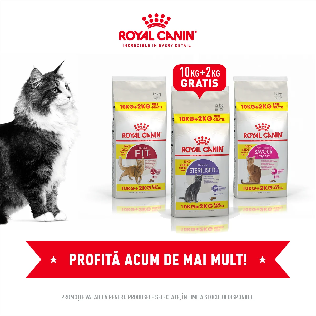 Royal Canin Pisica Adult Bonus Bags