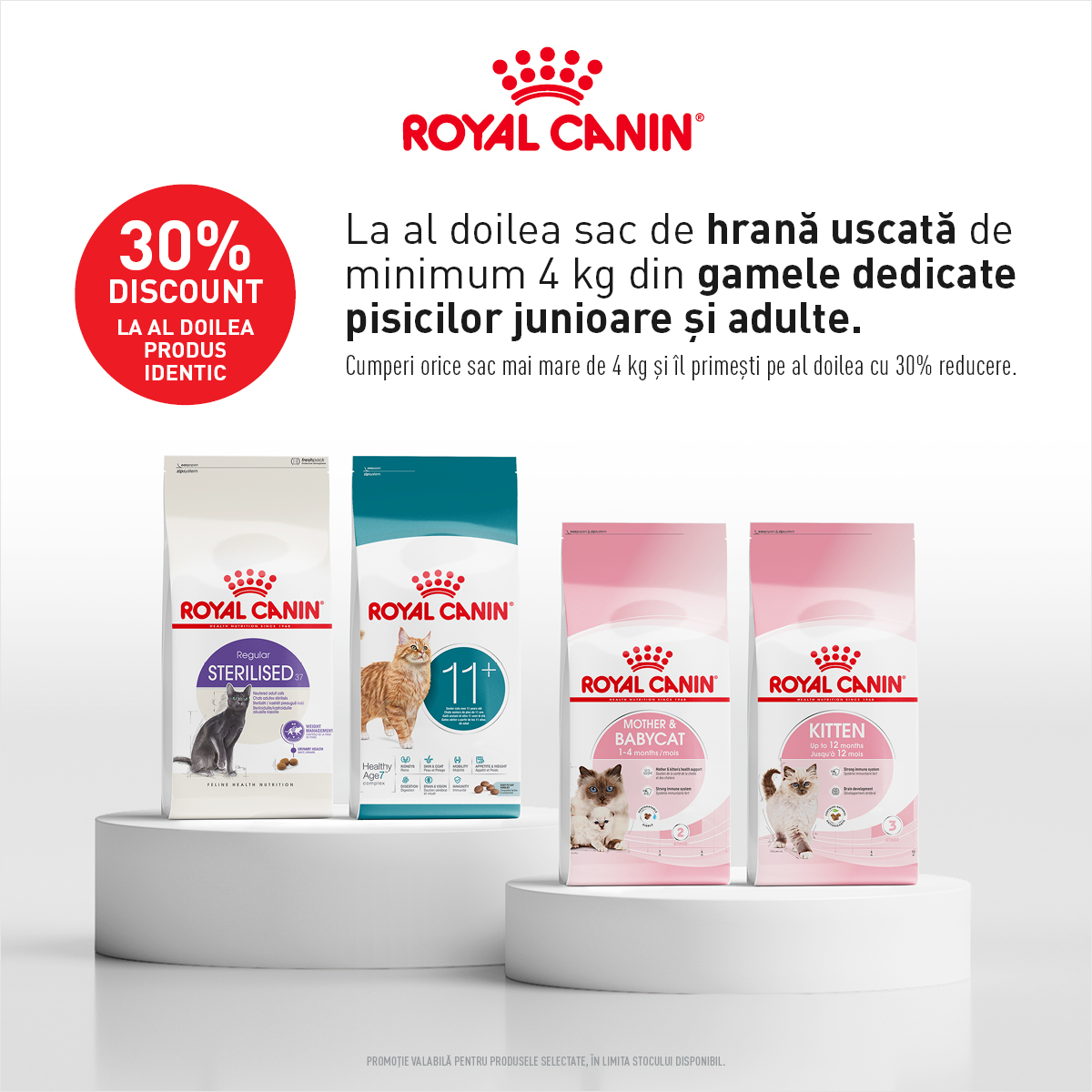 Royal Canin pisici mai mare de 4kg mobile