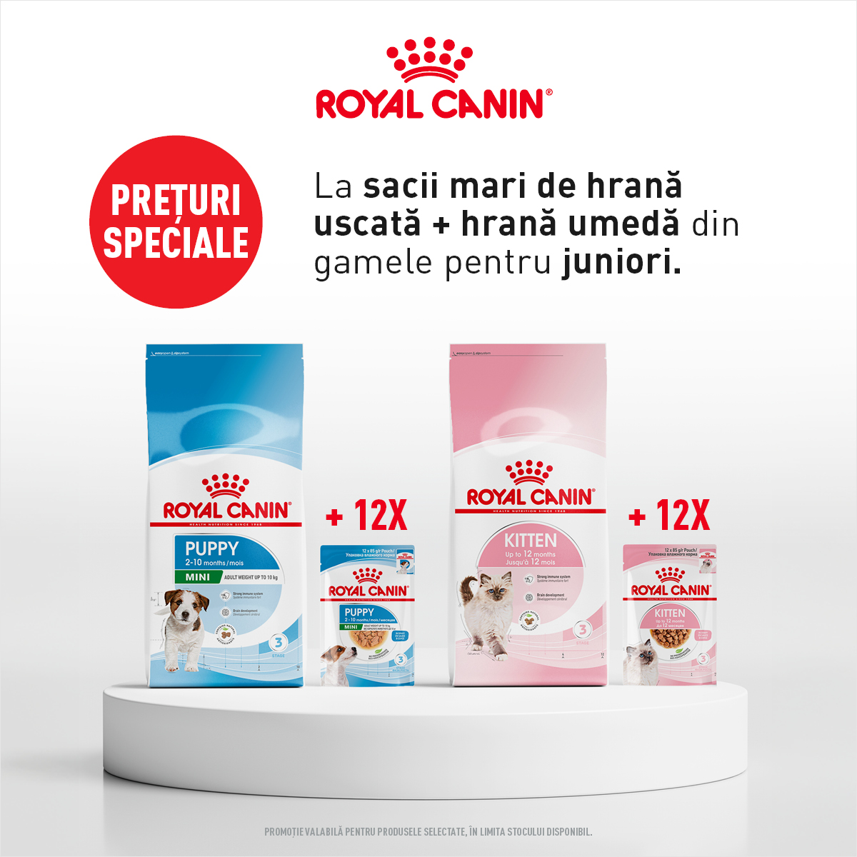 Royal Canin CADOU Hrana umeda si uscata juniori Mobile