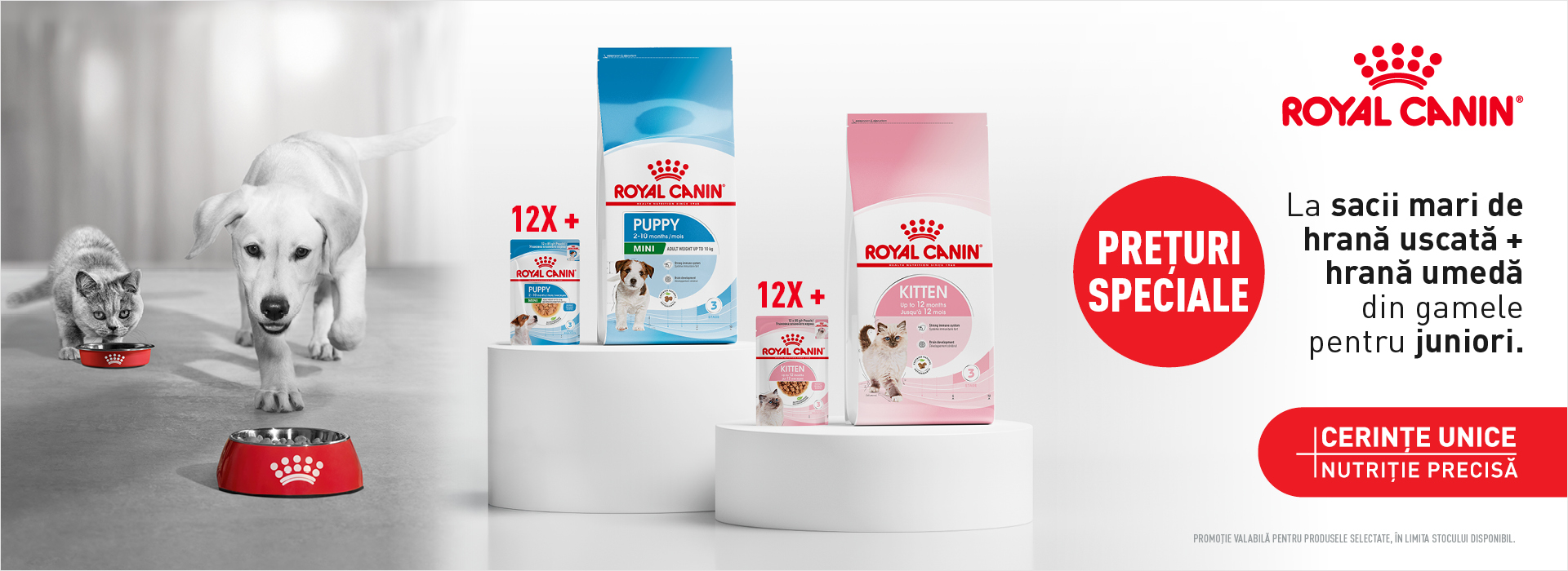Royal Canin CADOU Hrana umeda si uscata juniori Desktop