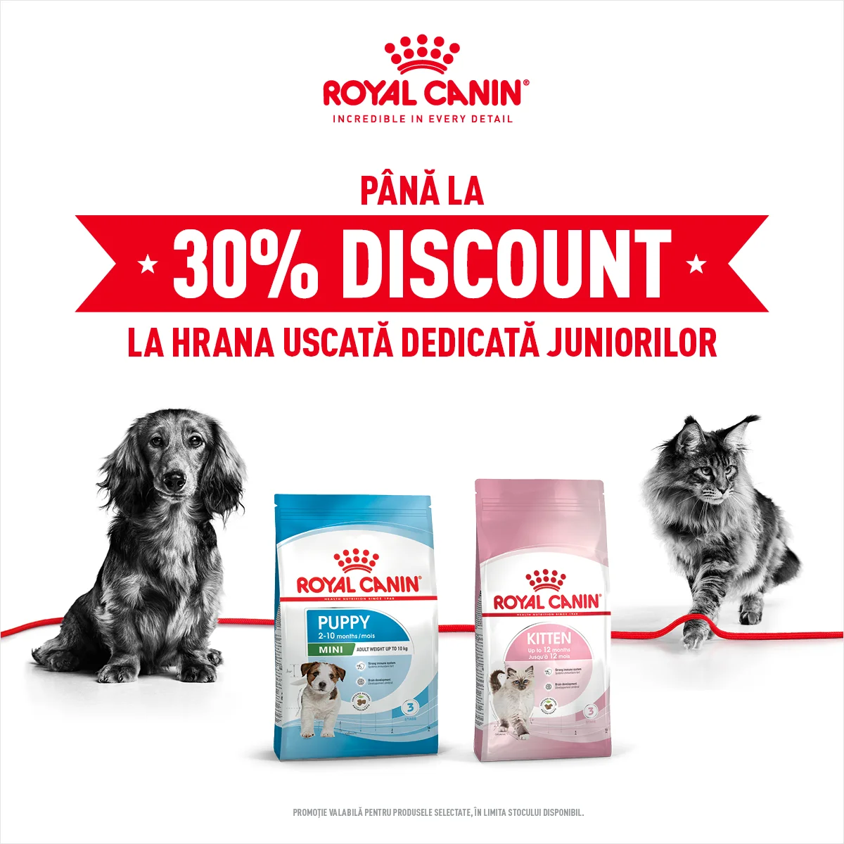 Royal Canin - Hrana pentru Juniori