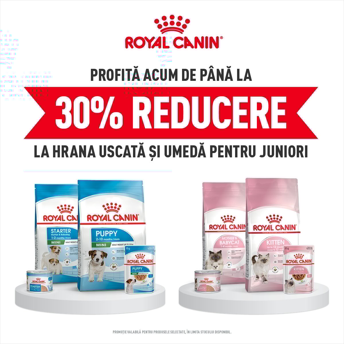 Royal Canin Hrana umeda si uscata juniori Mobile