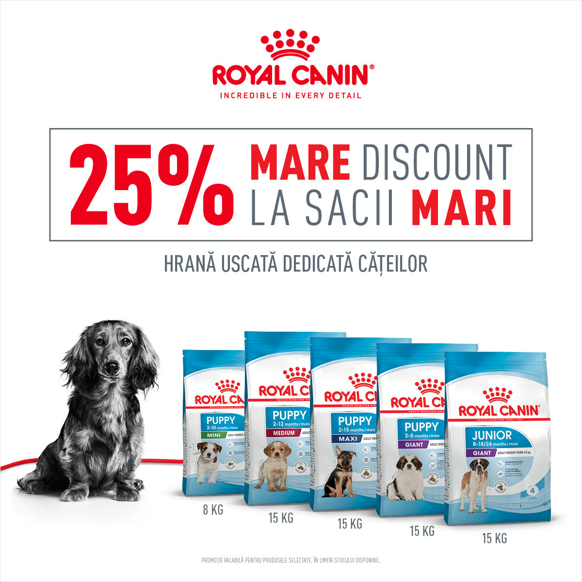 25% Royal Canin Puppy mobile