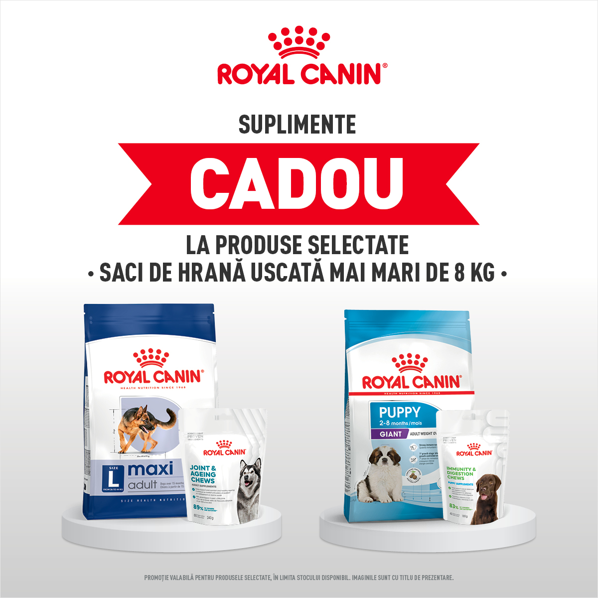 Recompense Cadou Royal Canin Mobile