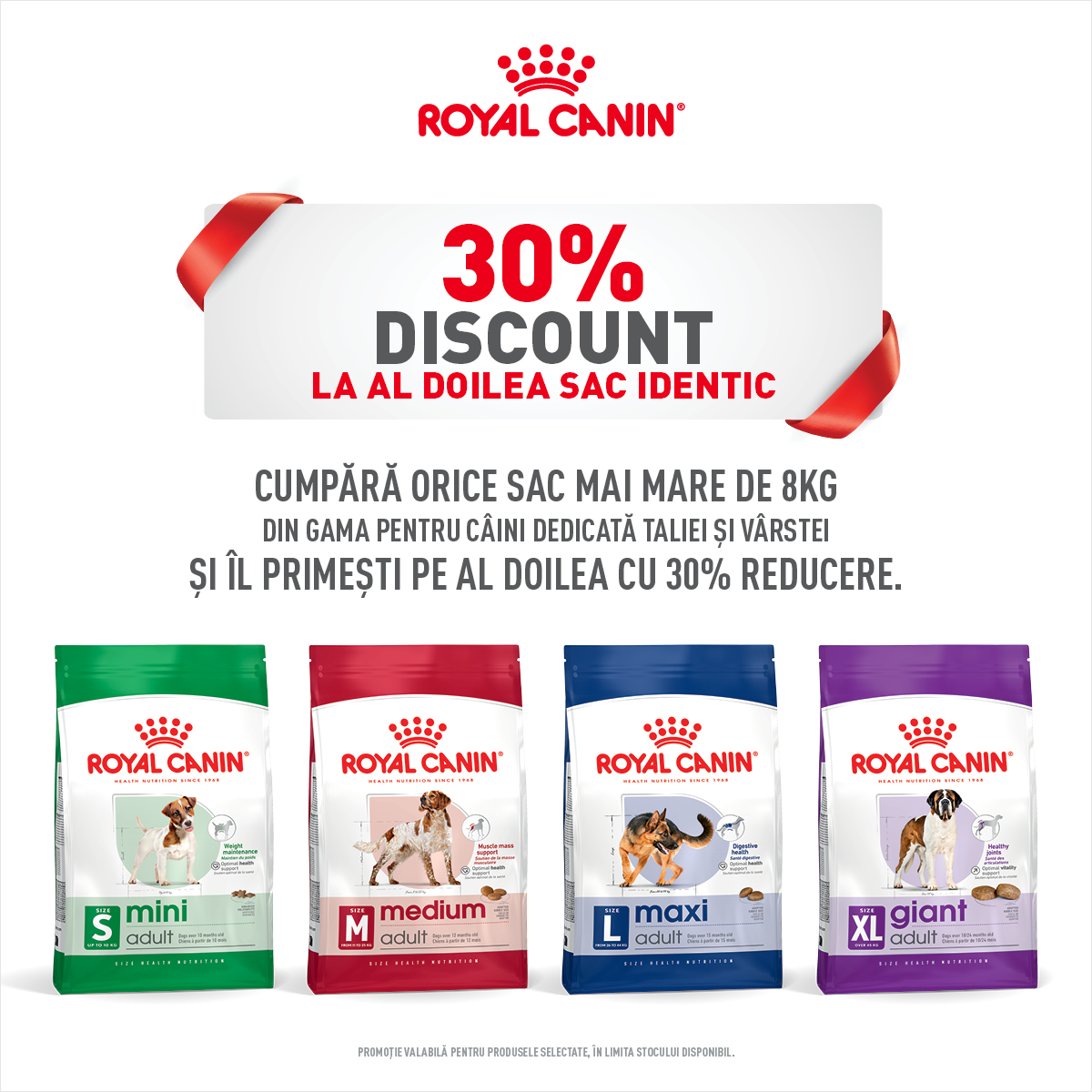 1+1 30% SACI MARI MOBIL