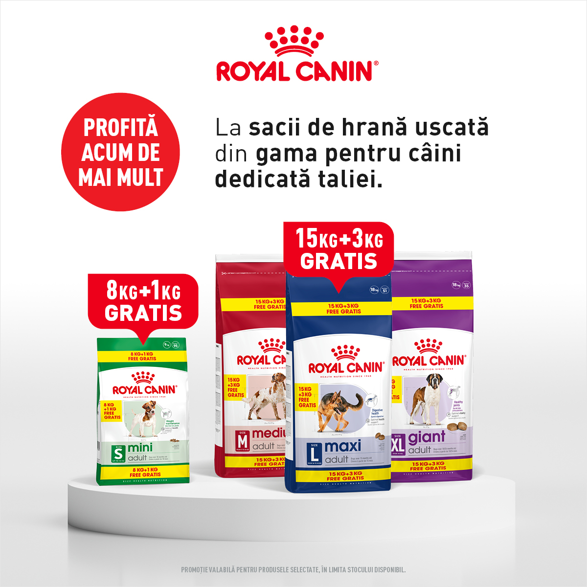 Royal Canin Hrana Uscata Caine Kg Cadou