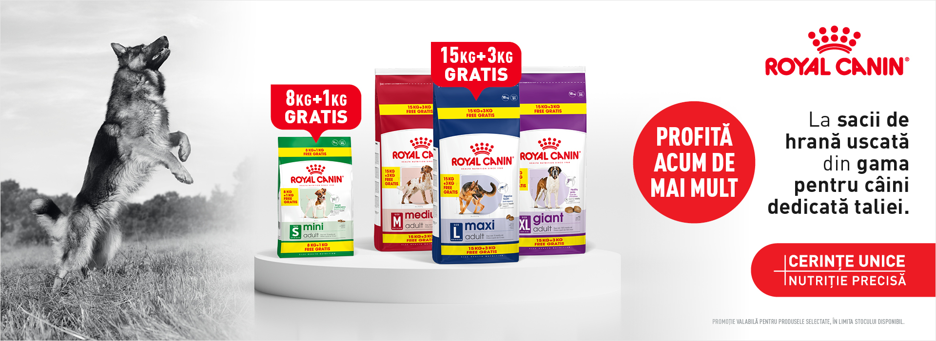 Royal Canin Hrana Uscata Caine Kg Cadou