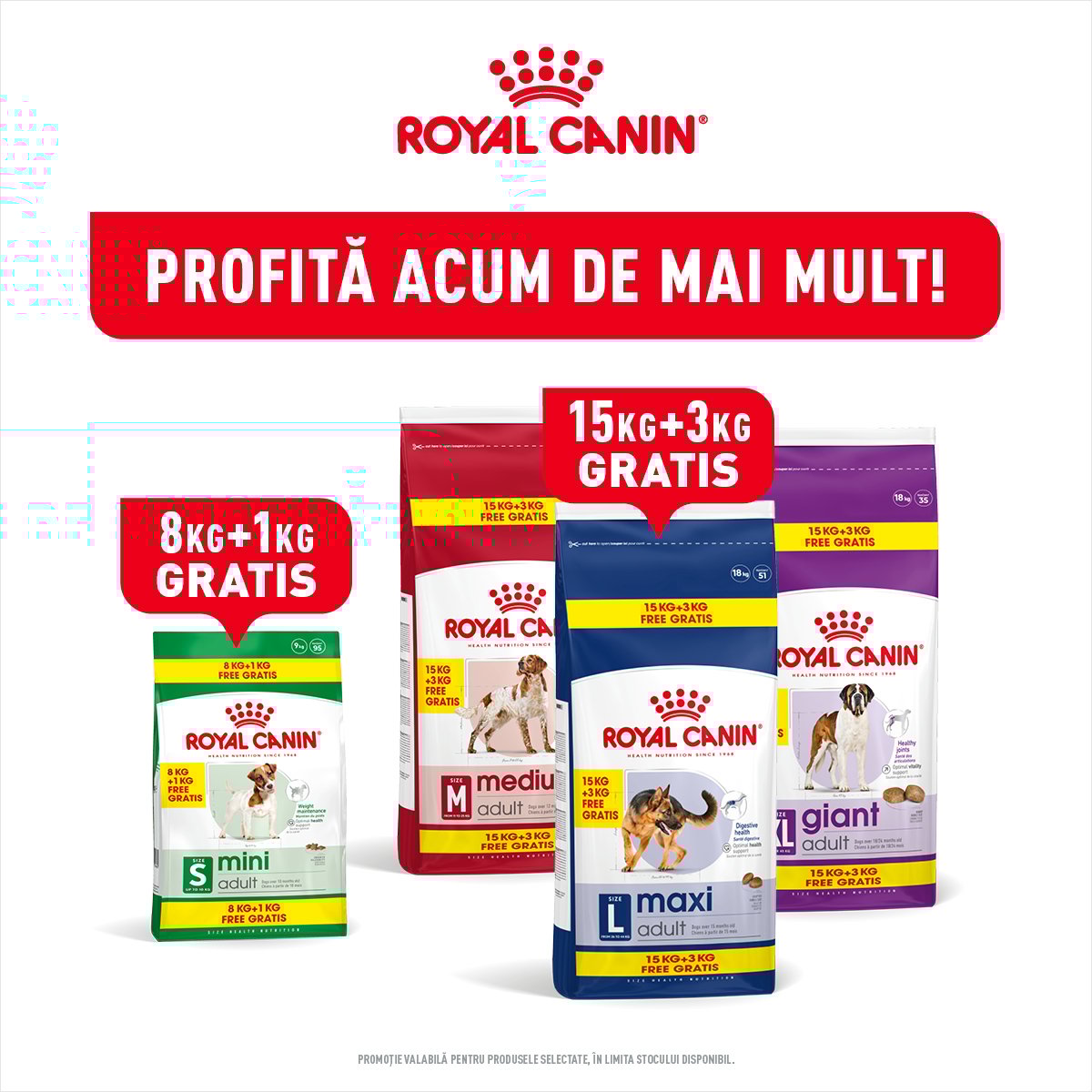 Royal Canin Hrana Uscata Caine Kg Cadou