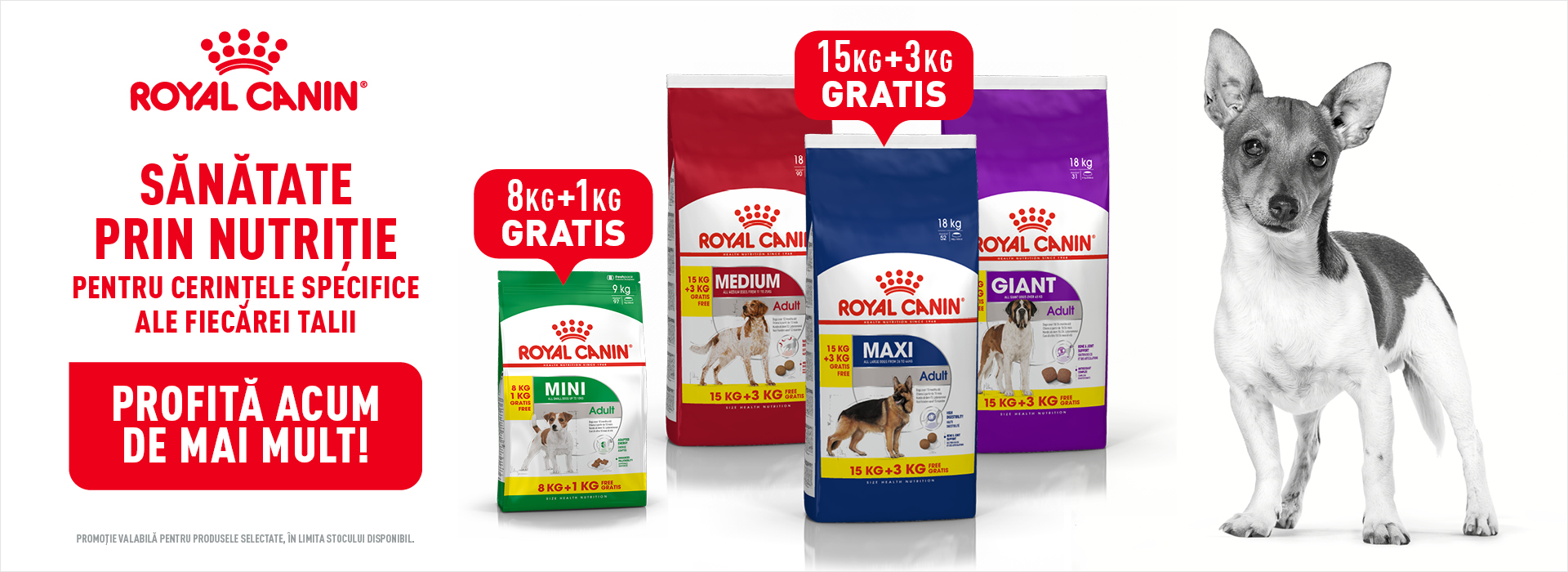 Royal Canin Hrana Uscata Caine Kg Cadou