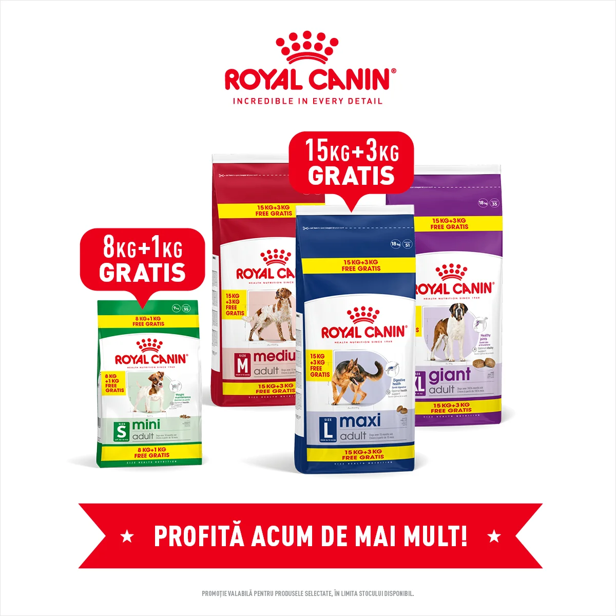 Royal Canin Hrana Uscata Caine Kg Cadou