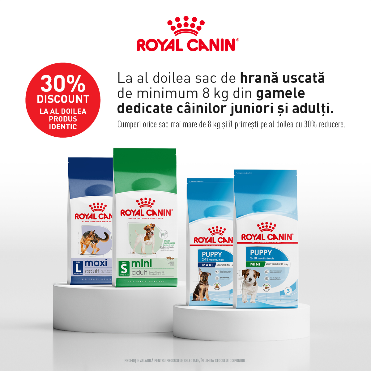 ROYAL CANIN Saci Mari Caini Mobile