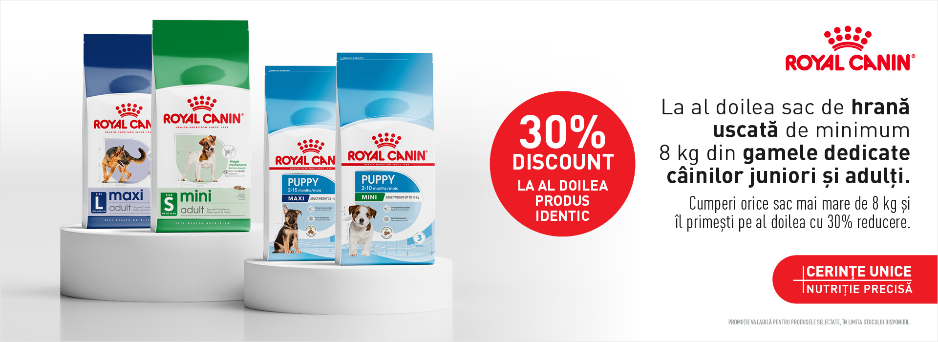 ROYAL CANIN Saci Mari Caini Desktop