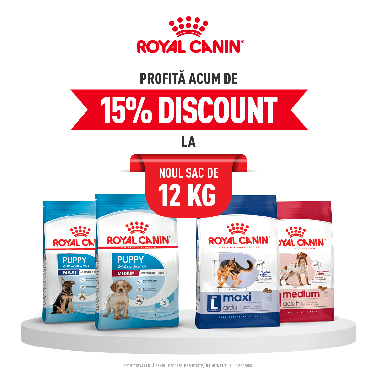 Royal Canin noutati 12 kg mobile