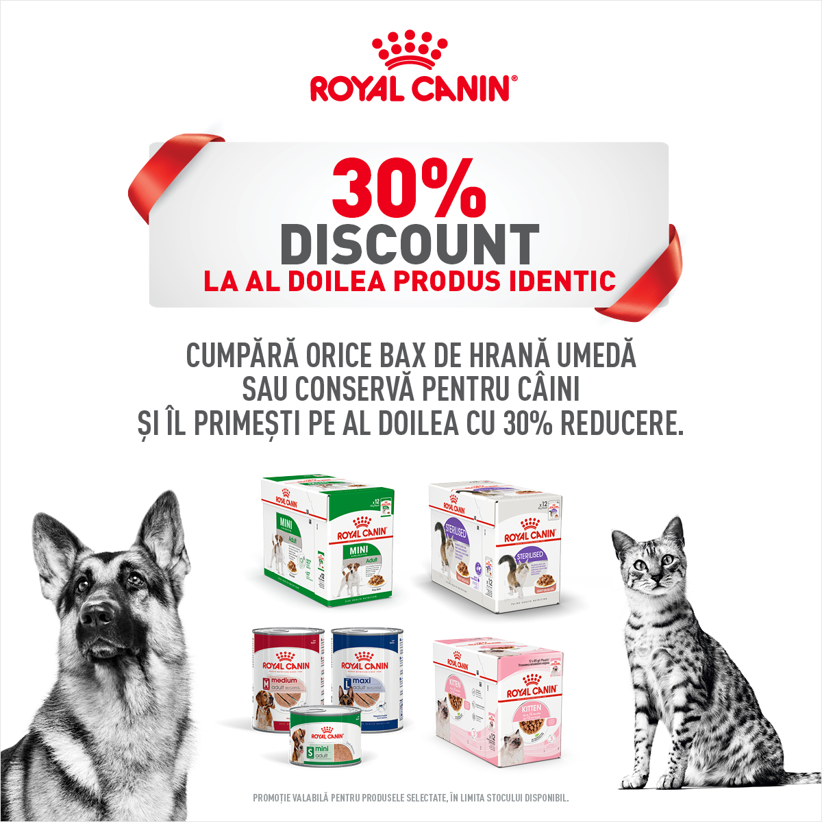 Royal Canin Hrana umeda caini si pisici mobile
