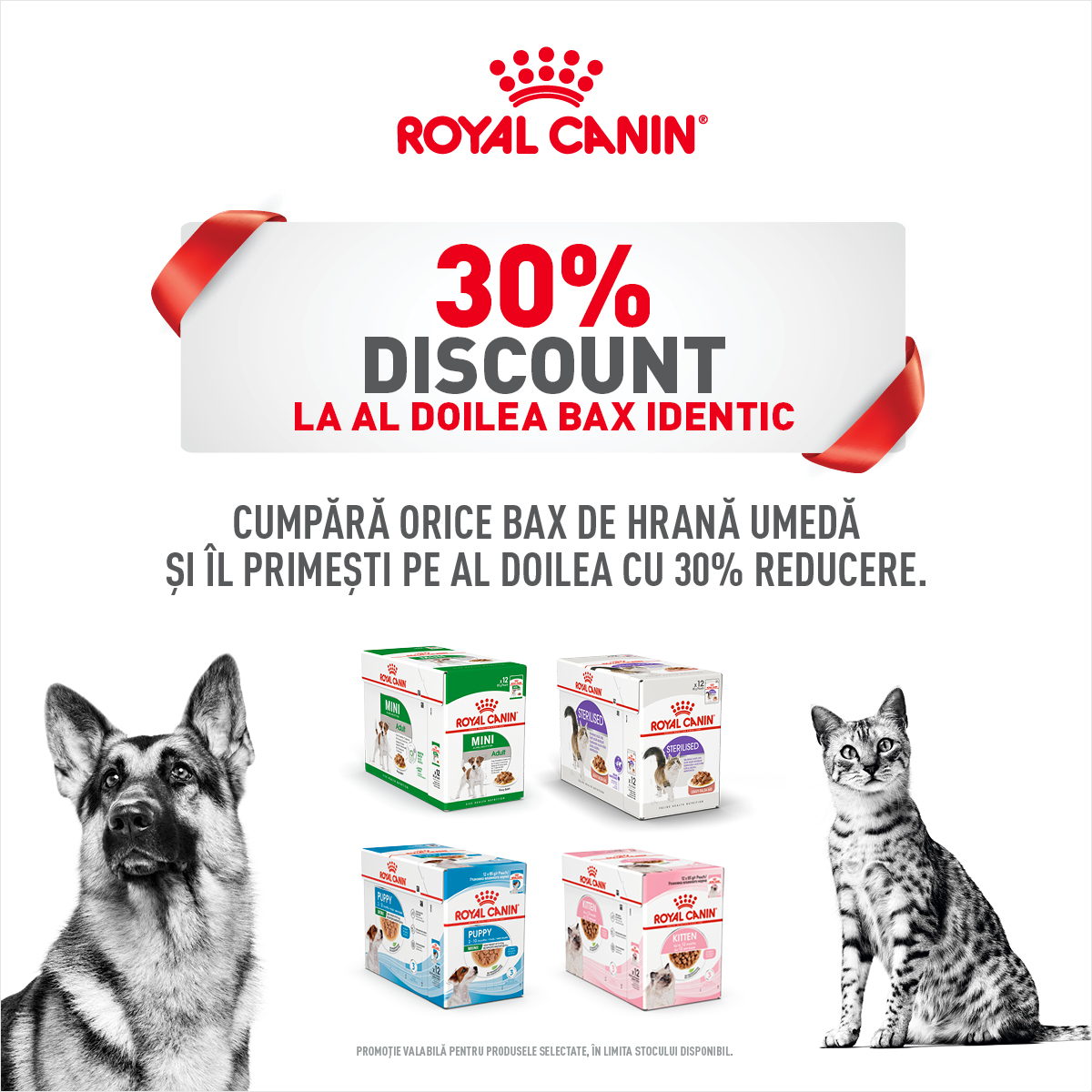 Royal Canin Hrana umeda caini si pisici mobile