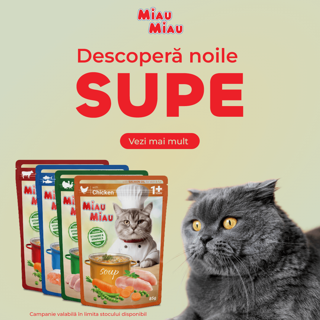 Noutăți Supe Mobile