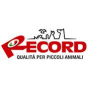 Record