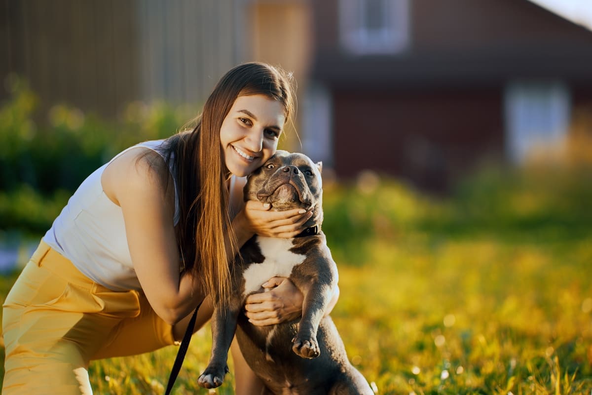 American bully cu stapana la plimbare